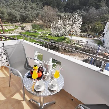 Green View Apartment